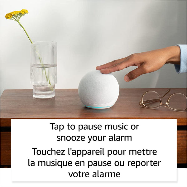 Amazon Echo Dot (newest model)